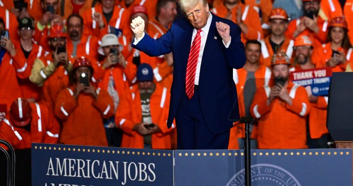 Trumps new steel tariffs will cause mass disruption, Canadian industry warns - National [Video]