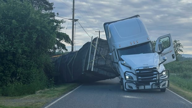Millions of honeybees loose after truck overturns near B.C.-Wash. border [Video]