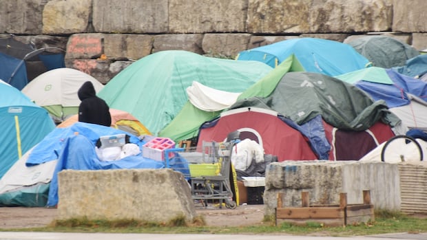 2 opposition MPPs have created a plan to solve Ontario’s homelessness crisis in 10 years. Could it work? [Video]