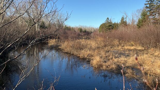 Purchase of land in Point Deroche 