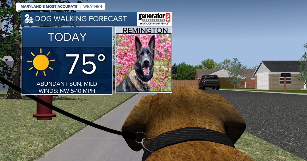 Sunny & 75 to start the week [Video]