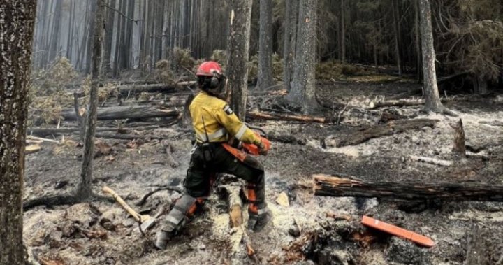 Northern Alberta community likely lost water treatment plant, church and homes to wildfire: reeve [Video]