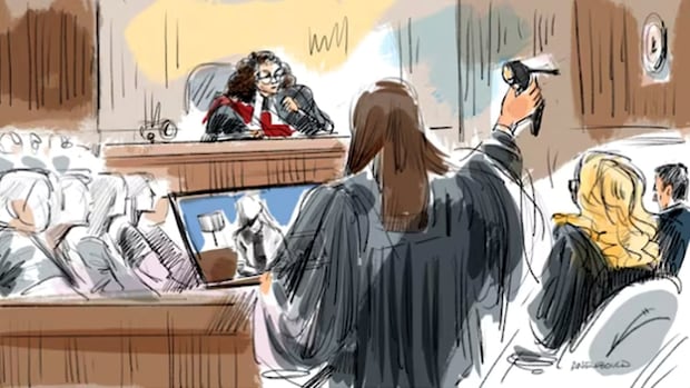 Making sense of some of the evidence in the Hockey Canada sexual assault trial [Video]