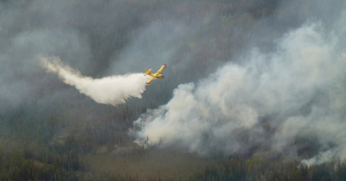 Canadian wildfires threaten air quality in some U.S. states [Video]