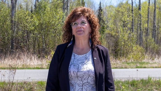 In the centre of Ontario’s drug crisis, Fort William First Nation fights for new facility [Video]