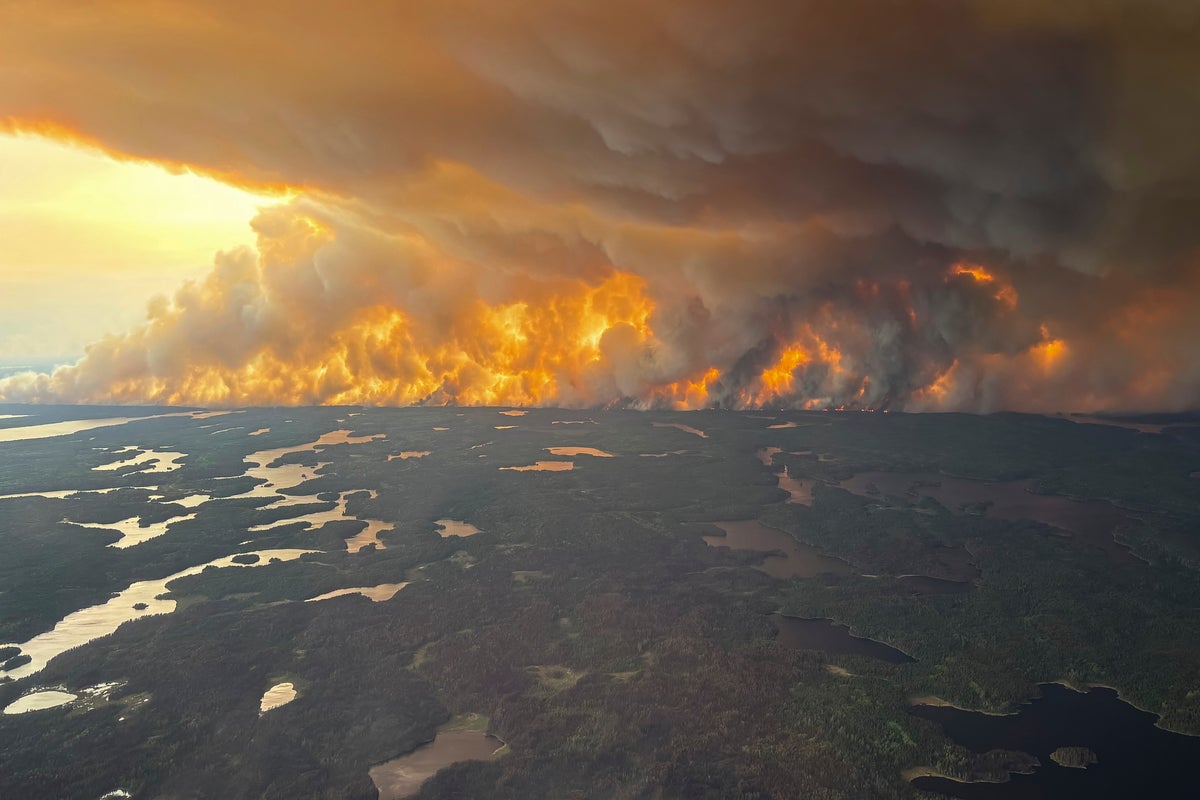 Canadas wildfires may impact gas prices: heres how [Video]
