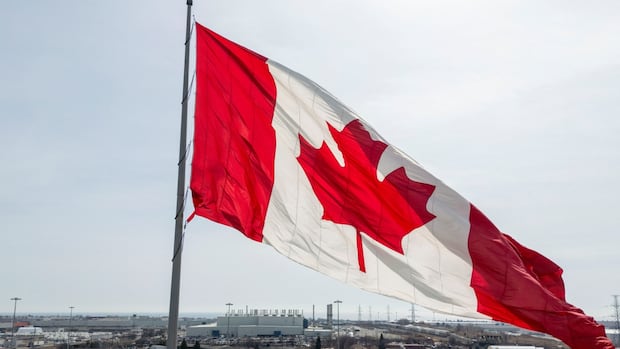 Canadian economy will be among those hit hardest by global slowdown, says OECD [Video]