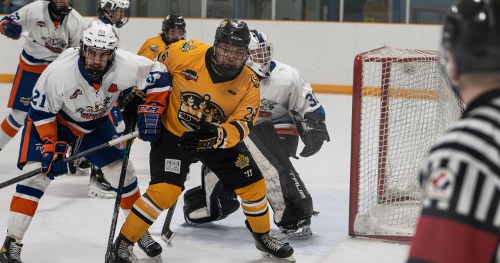 Southern Alberta hockey player dies after falling from Calgary highrise [Video]