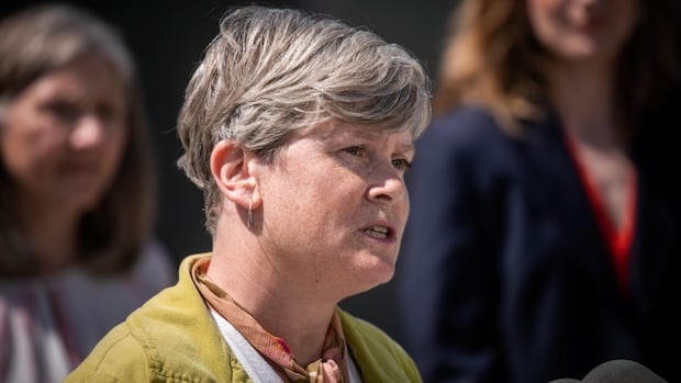 B.C. to open 18 long-term involuntary care beds in Metro Vancouver [Video]