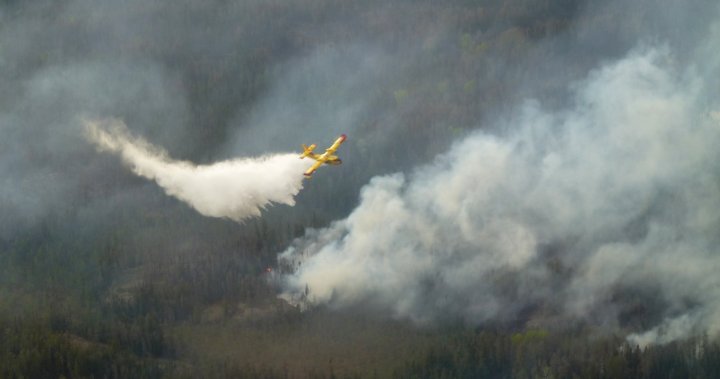 As Canadas wildfires rage, where is the smoke drifting? [Video]