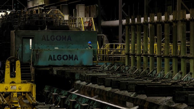 Doubled tariffs raise concerns Canadian steel could be shut out of U.S., but some companies say they’ll adjust [Video]