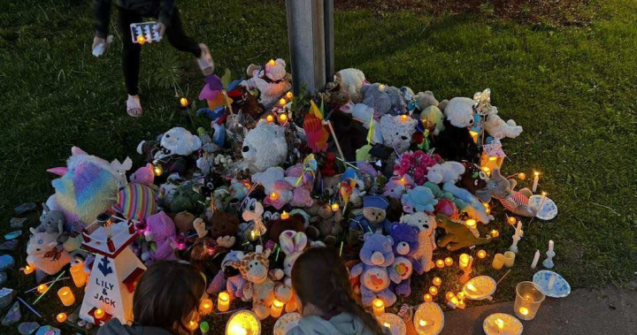 Let truth be revealed: What was said at candlelight vigil for missing N.S. kids [Video]