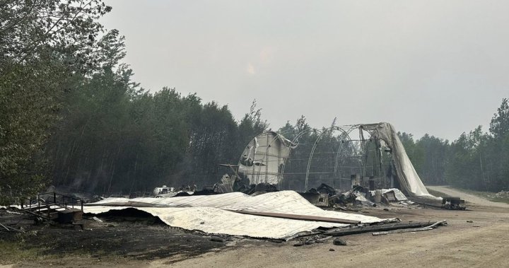 Saskatchewan wildfires have forced 15,000 evacuations and counting: premier [Video]