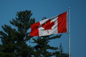 Canadas reopened cod fishery on shaky ground [Video]
