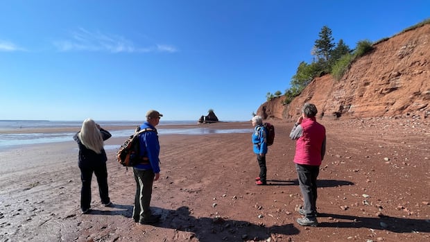 Two Canadian UNESCO Geoparks cautioned to make improvements or risk losing status [Video]