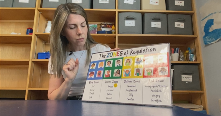 Fredericton non-profit aims to help children caught in intimate partner violence situations - New Brunswick [Video]