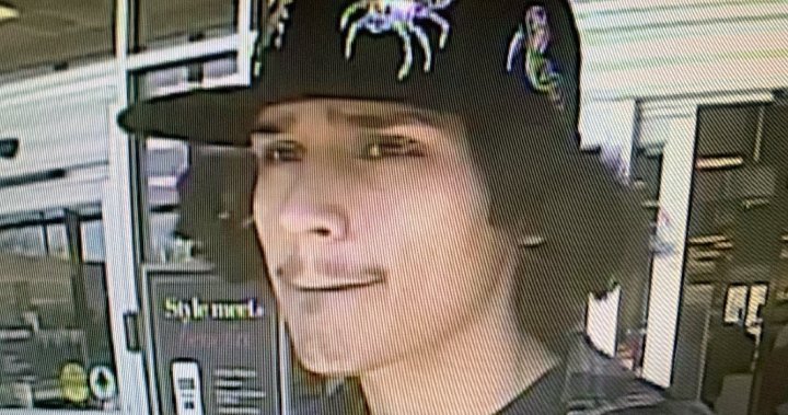 Winnipeg cops seek identity of man accused of indecent acts – Winnipeg [Video]