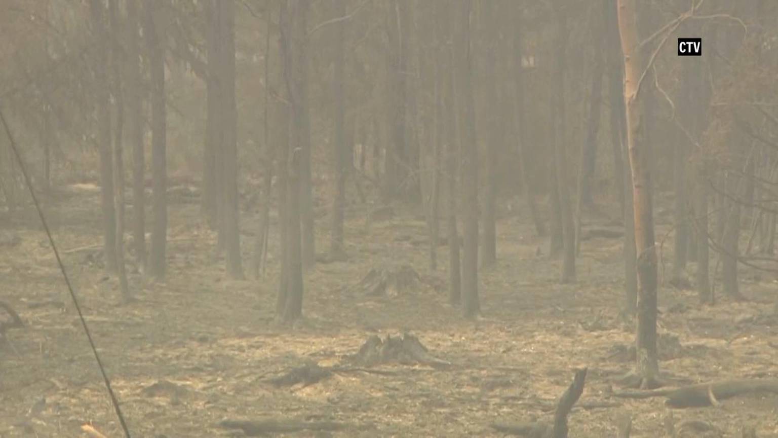 Air quality warnings issued for some Manitoba regions as wildfires burn [Video]