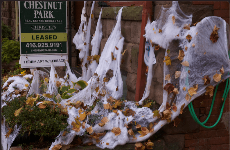 The real fright of Halloween costumes and decorations? The environmental cost of these holiday purchases [Video]