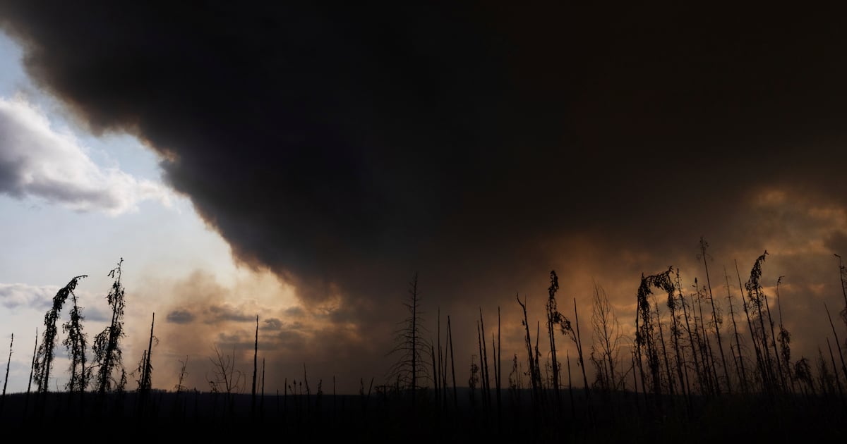 Data capturing hot spots and burned acres show Canada wildfire season off to wild start  WSOC TV [Video]