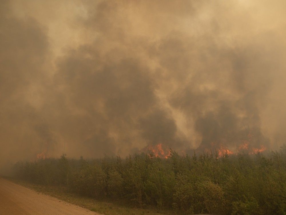 Wildfire updates: Rain slows some Northern Alberta wildfires [Video]