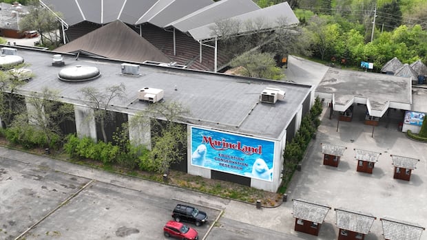 Marineland remains closed in Niagara Falls, Ont., says it hasn’t decided if it will open this year [Video]