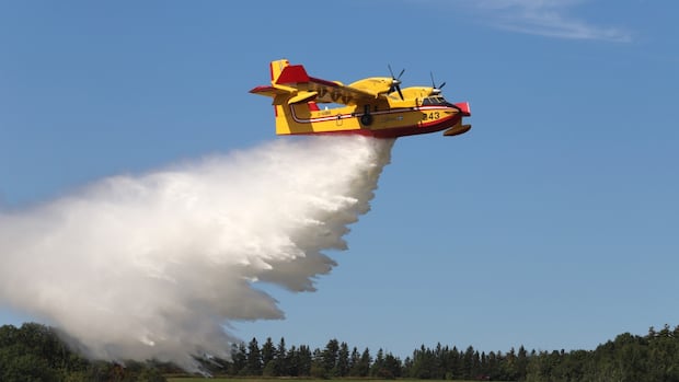 Demand for water bombers has ‘skyrocketed’ as Canada grapples with more intense wildfires [Video]