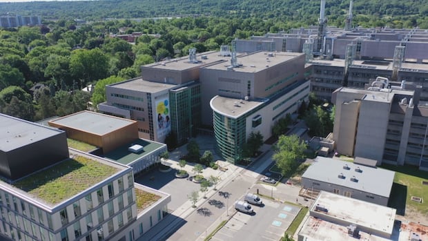 Health P.E.I., McMaster University partner to fast-track international medical graduates [Video]