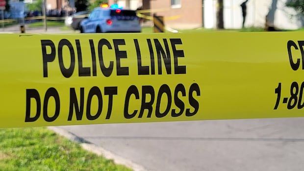 Man accused in Ottawa femicide charged in separate assaults [Video]