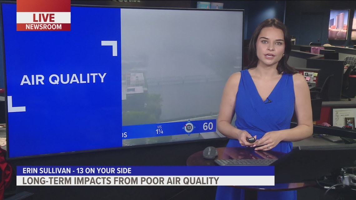 What are the long-term impacts of poor air quality? [Video]