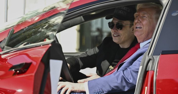 Tesla shares plunge as investors concerned over Musk, Trump feud – National [Video]
