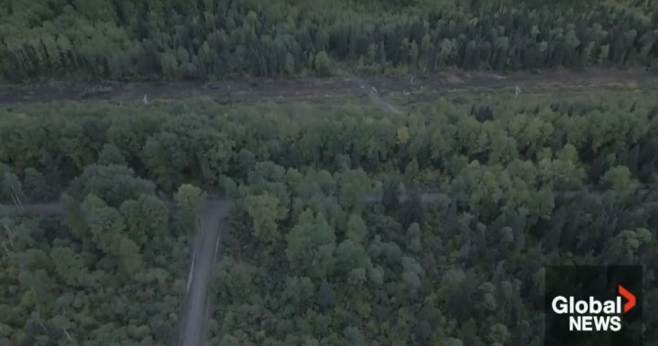 Nisgaa-owned LNG pipeline wins key approval as BC Greens, other First Nations push back [Video]