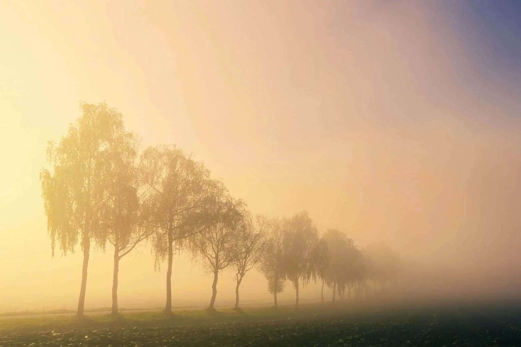 June 6 weather: Smoke and high near 25 C in southern Ontario [Video]
