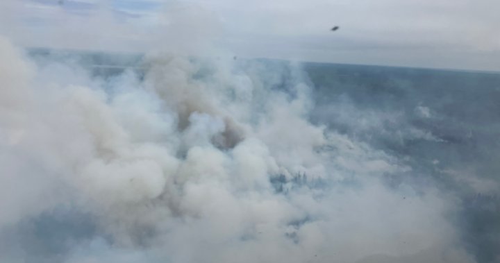 Dangerous situation: Aggressive wildfire burns near B.C.-Alberta border [Video]