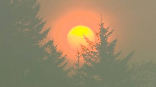 Global News at 6 Halifax: June 6 [Video]