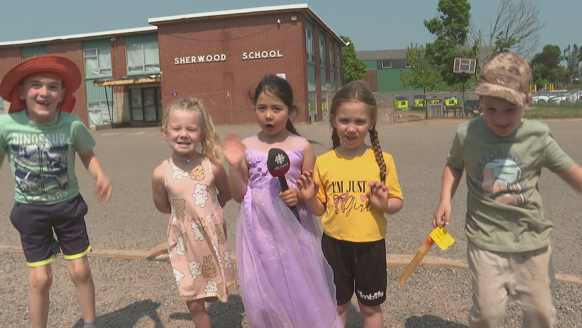Students at Sherwood Elementary School gleefully leaping into summer early [Video]