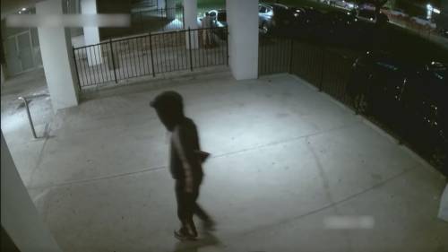 Toronto man sentenced to life for killing bystander during break-in [Video]