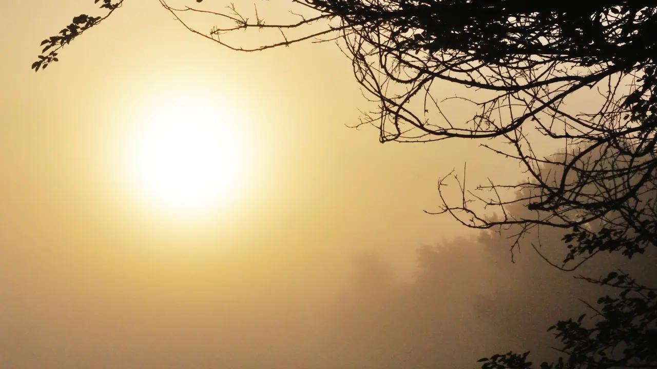 June 8 weather: 21 C highs and smoky skies expected across southern Ontario [Video]