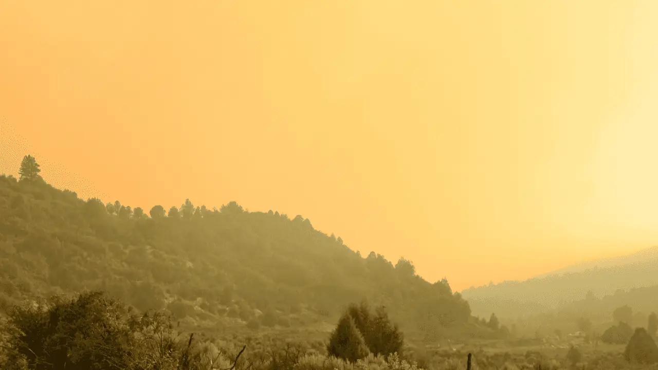 Air quality warnings in effect for parts of Ontario this weekend [Video]