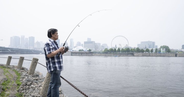 Air quality alerts ease across much of Quebec and Ontario after days of haze [Video]