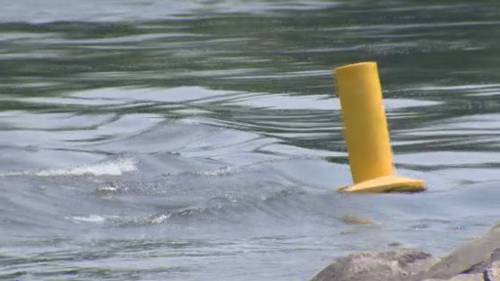 Police continue search for man presumed drowned [Video]