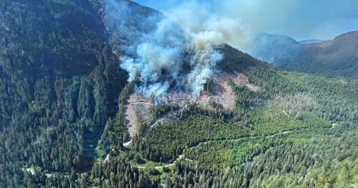 Out-of-control wildfire burning south of Sproat Lake – BC [Video]