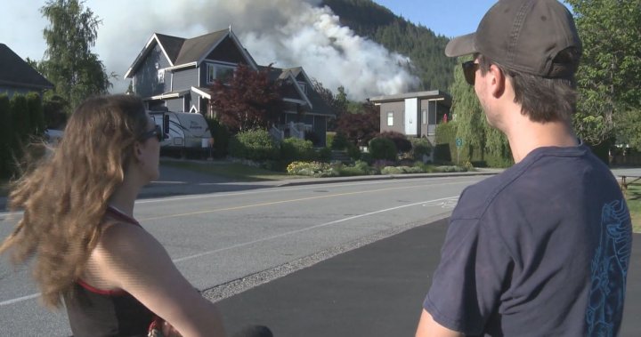 Squamish wildfire prompts evacuation alert in Brackendale area [Video]