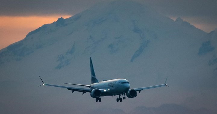 Canada-U.S. travel falls further for 5th straight month: StatCan – National [Video]