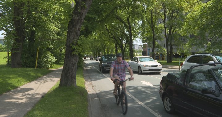 Halifax councillors caught off guard by mayors bike lane pushback - Halifax [Video]