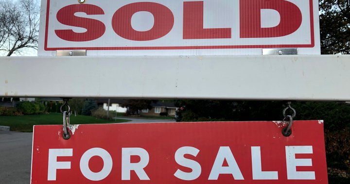 These real estate markets might be showing signs of life, report suggests – National [Video]