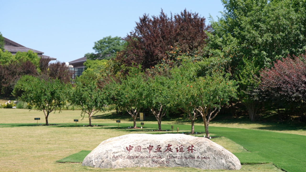Pomegranate trees in Xi’an connect China and Central Asia [Video]