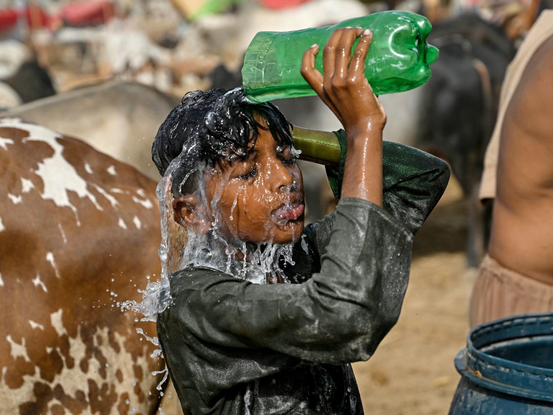 Month of May was worlds second-warmest on record: EU scientists | Climate Crisis News [Video]