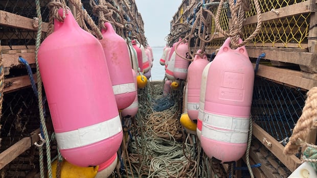 Some P.E.I. lobster fishers want ‘moderate livelihood’ defined, after DFO seizes more traps [Video]