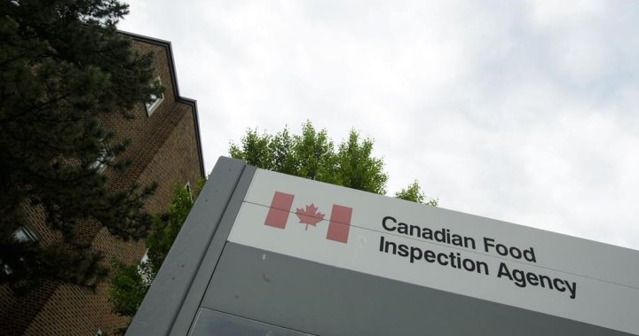 This salami is being recalled in 3 provinces due to possible salmonella [Video]